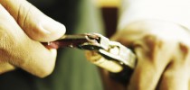 Mottura Vini del Salento